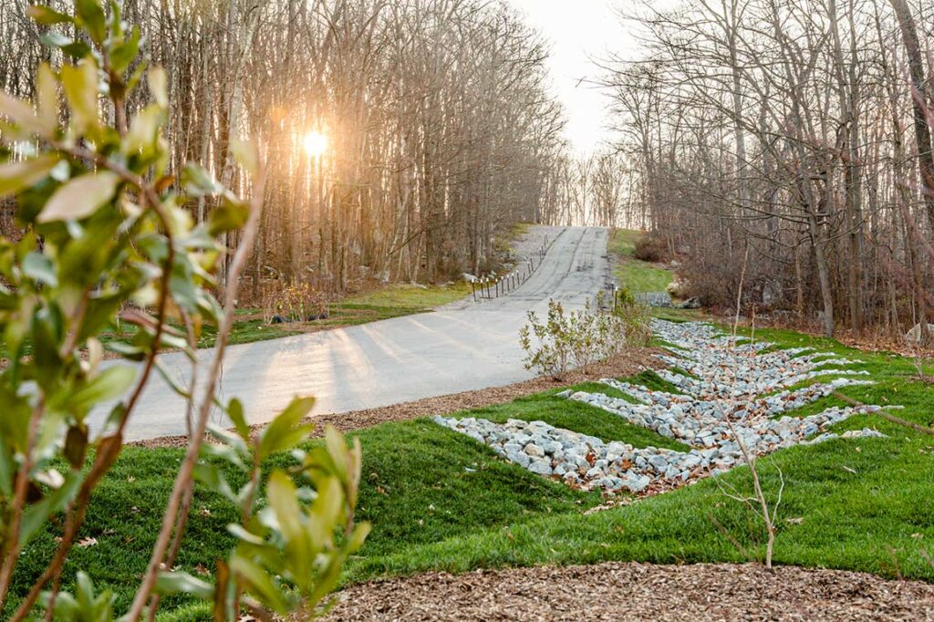 Landscaping at entrance road